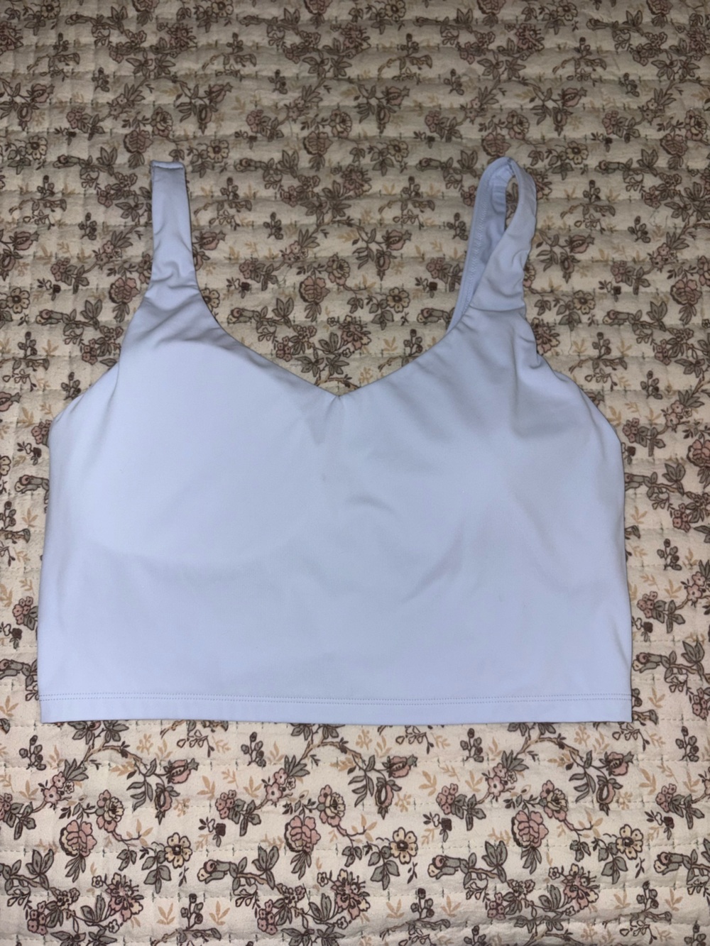 Aerie Long Line sports bra